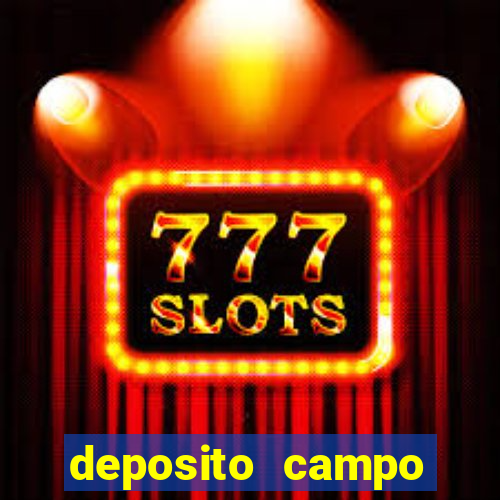 deposito campo grande santos